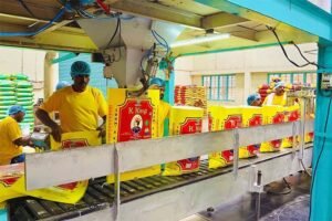 Automated Packing